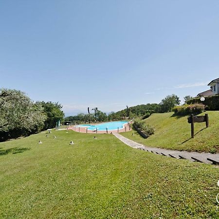 Vista Lago Padenghe sul Garda Esterno foto